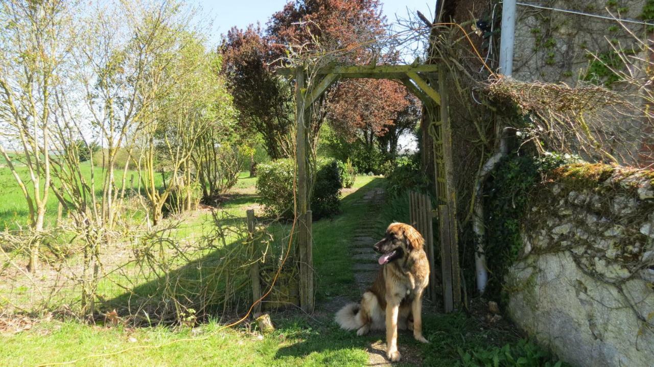 La Fosse Seche Bed & Breakfast Dolus-le-Sec Exterior photo